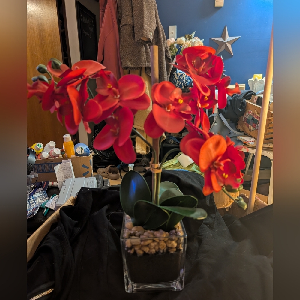 Red Silk Orchid